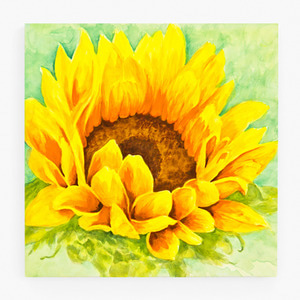 해바라기 사진 그림 액자 sunflower 41