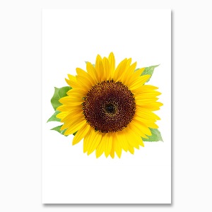 해바라기 사진 그림 액자 sunflower 4