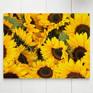 해바라기 사진 그림 액자 sunflower 17