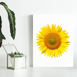 해바라기 사진 그림 액자 sunflower 1